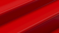 Rot