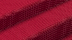 Rot